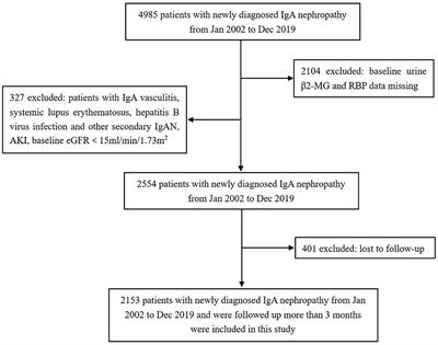 Urine β2-Microglobulin and Retinol-Binding Protein and Renal Disease Progression in IgA Nephropathy